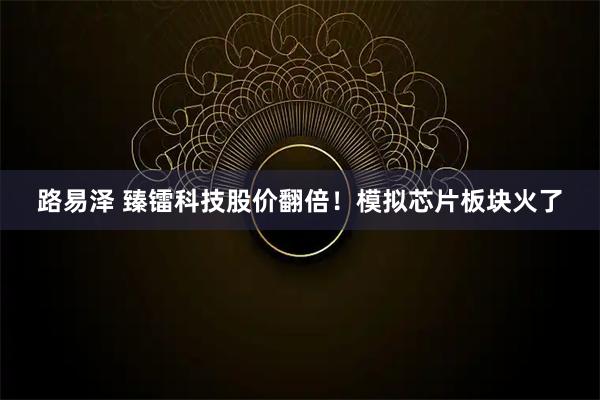 路易泽 臻镭科技股价翻倍！模拟芯片板块火了