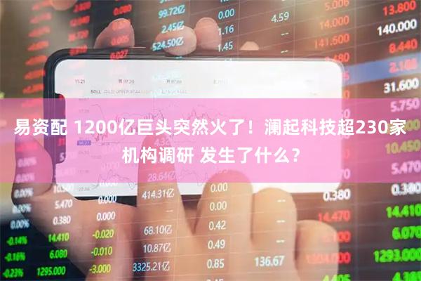 易资配 1200亿巨头突然火了！澜起科技超230家机构调研 发生了什么？