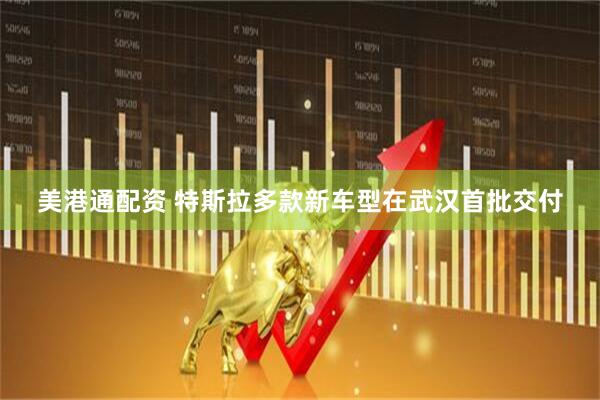 美港通配资 特斯拉多款新车型在武汉首批交付