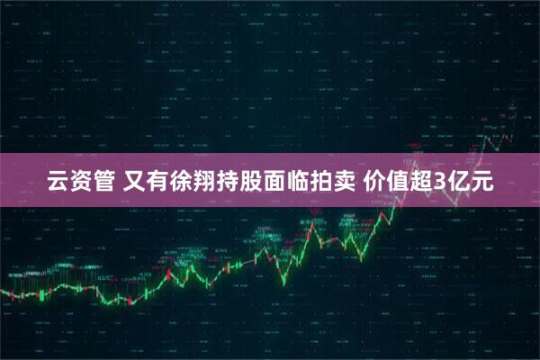 云资管 又有徐翔持股面临拍卖 价值超3亿元