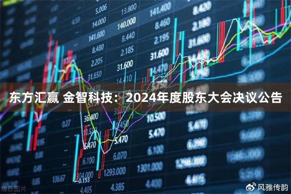 东方汇赢 金智科技：2024年度股东大会决议公告