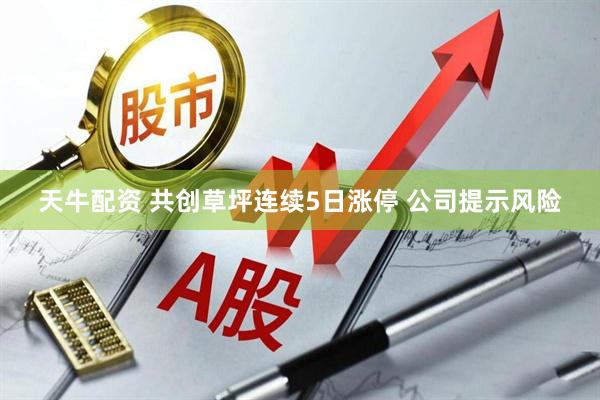 天牛配资 共创草坪连续5日涨停 公司提示风险