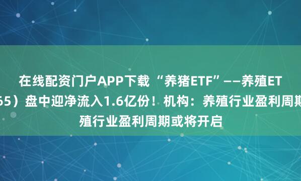 在线配资门户APP下载 “养猪ETF”——养殖ETF（159865）盘中迎净流入1.6亿份！机构：养殖行业盈利周期或将开启