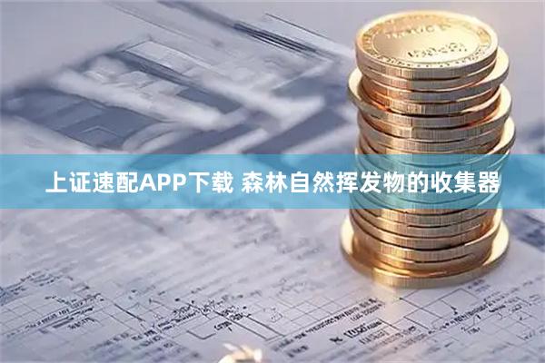 上证速配APP下载 森林自然挥发物的收集器