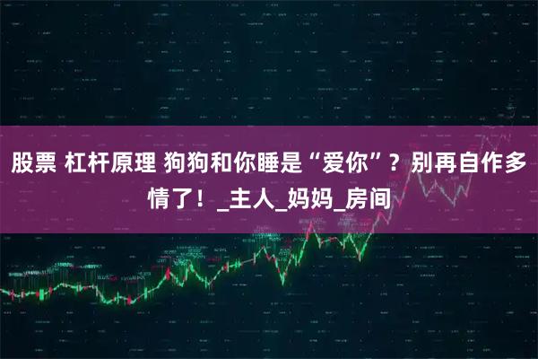 股票 杠杆原理 狗狗和你睡是“爱你”？别再自作多情了！_主人_妈妈_房间